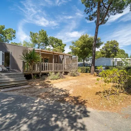 Les Genets * Saint-Jean-de-Monts